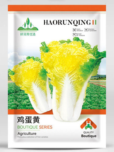 'Golden Egg Yolk' Chinese Cabbage Seeds - Early Harvest, Heat & Cold Resistant, Perfect for Autumn Planting