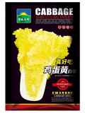 'Golden Egg Yolk' Chinese Cabbage Seeds | Early Maturing, Cold-Resistant, Yellow-Hearted Variety for Fall Planting