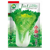 'Xiao Za 56' Early-Maturing Yellow Heart Chinese Cabbage, Heat-Resistant, Dense Planting, 55-Day Growth Period