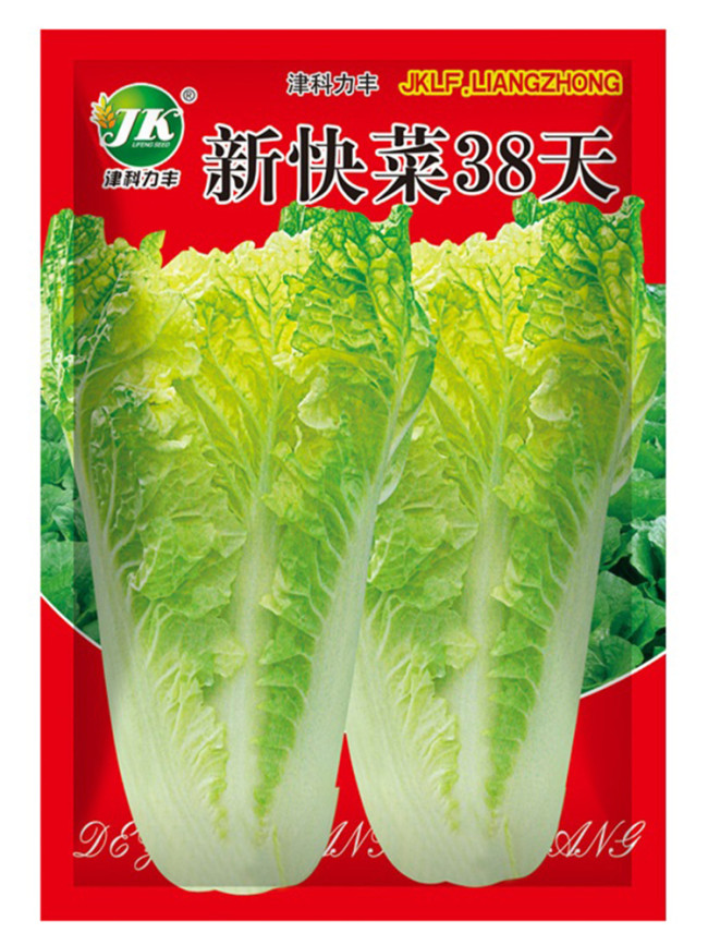 Fast-Growing Chinese Cabbage '38 Variety', Heat-Resistant and Disease-Resistant