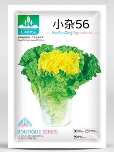 'Xiao Za 56' Fast-Growing Yellow Heart Chinese Cabbage, Ideal for Dense Planting, Heat-Resistant, Cylindrical Head