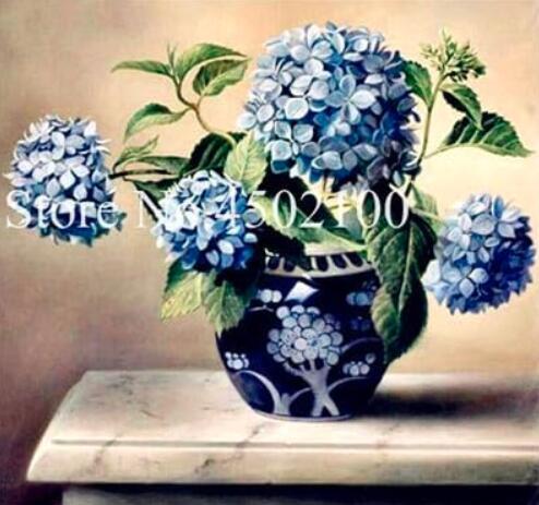 Hydrangea Dwarf Seed,Hydrangea Beautiful China Hydrangea Flower Plant,Natural Growth for Home & Garden Planting - (Color: 4)