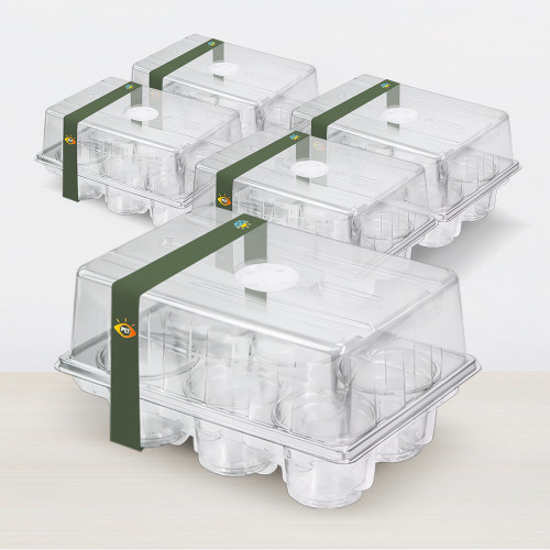 N293 Nursery Cup Tray Kit with 6 Seedling Cups and Adjustable Vented Lid - Transparent PET Material for Large Seed Germination, Home Gardening Essentials