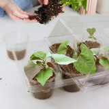 N293 Nursery Cup Tray Kit with 6 Seedling Cups and Adjustable Vented Lid - Transparent PET Material for Large Seed Germination, Home Gardening Essentials