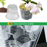 N293 Nursery Cup Tray Kit with 6 Seedling Cups and Adjustable Vented Lid - Transparent PET Material for Large Seed Germination, Home Gardening Essentials