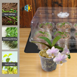 N293 Nursery Cup Tray Kit with 6 Seedling Cups and Adjustable Vented Lid - Transparent PET Material for Large Seed Germination, Home Gardening Essentials