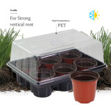 N295 Premium Seedling Kit with Drainage Holes and Clear Cover, Supports Healthy Root Development for Larger Seeds like Tomatoes & Eggplants