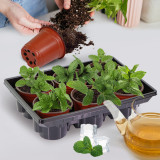N295 Premium Seedling Kit with Drainage Holes and Clear Cover, Supports Healthy Root Development for Larger Seeds like Tomatoes & Eggplants