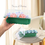 N299 Rectangular 10-Cell Seedling Tray with Transparent Lid and Adjustable Vents, PET Material for Home Gardening, Greenhouse, Vegetable & Herb Growing
