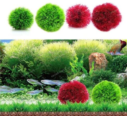 Mini-LeafGrassWaterAquaticPlantSeedFishTankPlantsDwarfPearlPlantsAquariumGrassSeed