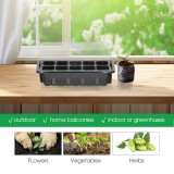 N300 Transparent Seed Starter Tray with Lid, 10 Cells & Drainage Holes - Ideal for Growing Vegetables, Flowers, Herbs Indoors