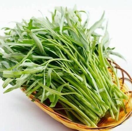 Kangkong Seeds - Rau Muong, Ong Choy, Brown Wạtér Spinạch Seed Water Convolvulus