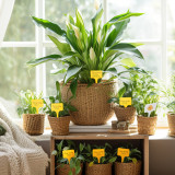 N306 T-Shaped Plant Labels 14.7cm, Writable and Waterproof for Indoor and Outdoor Use - Durable PP Material in Yellow and White