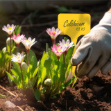 N306 T-Shaped Plant Labels 14.7cm, Writable and Waterproof for Indoor and Outdoor Use - Durable PP Material in Yellow and White