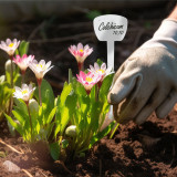N308 Durable 19.5cm T-Shaped Plant Labels - Waterproof, Writable, PP Material with Reinforced Rod for Home Gardens and Greenhouses