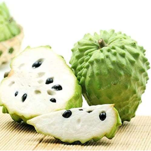 Custard Apple Buddha's Head Fruits Cherimoya Sugar Apple Annona Tree Seeds