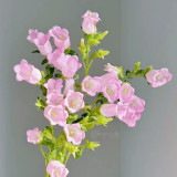 Soft Pink Canterbury Bells Seeds – Elegant, Deer-Resistant Perennials for Pollinator-Friendly Gardens