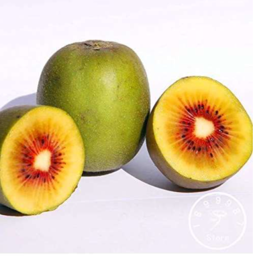 Red Kiwi Fruit Plants Garden and Seed Garden Green Organic