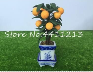 Balcony Patio Fruit Trees Kumquat Seed Garden Orange Flores Tangerine Dwarf Citrus Juicy Orange Fruit