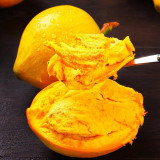 Pouteria campechiana seeds