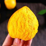 Pouteria campechiana seeds