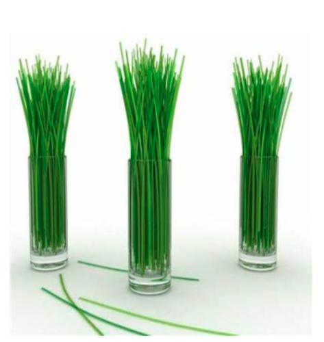 Lemon Grass Seed Herb Edible Lemongrass Kitchen Vegetable (Color: 6)