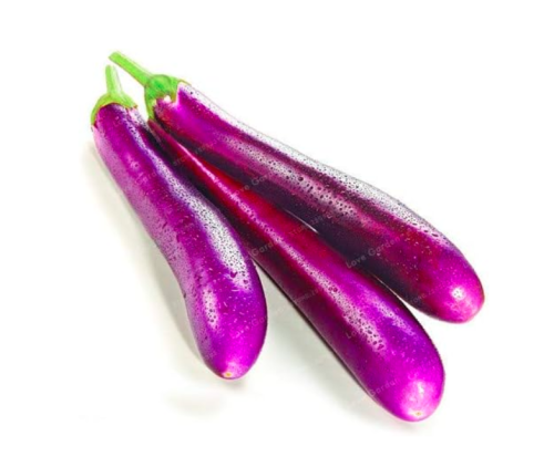Rare Long Eggplant Seed Organic Heirloom Eggplant