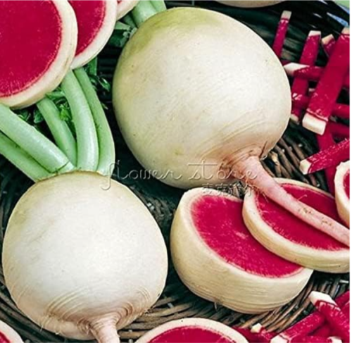 'Watermelon' Red Radish Seeds healthful Home Garden Vegetable