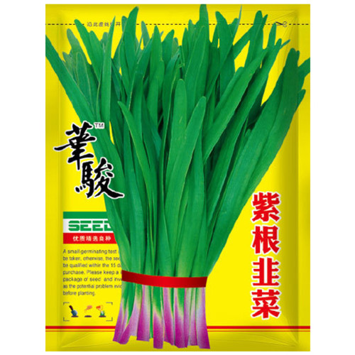HUAJUN Purple-rooted Chinese Chives Seeds