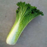 Tianjin Qingmaye Chinese Cabbage Seeds