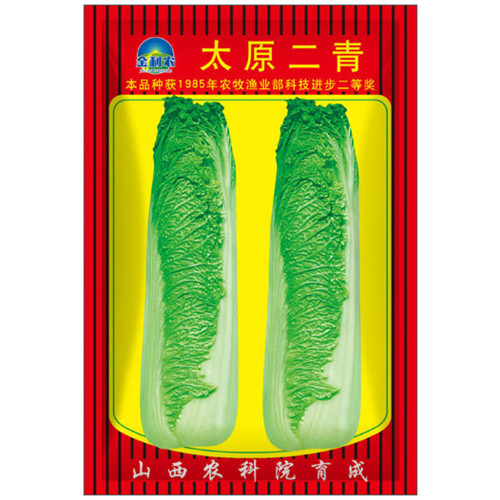 Taiyuan Erqing Chinese cabbage Seeds