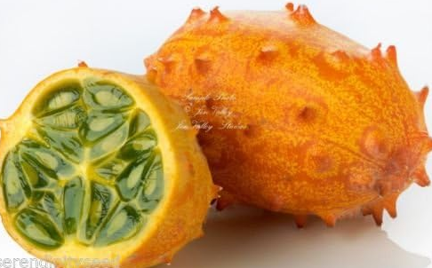 Cucumis Metuliferus Non-GMO African Kiwano Seeds