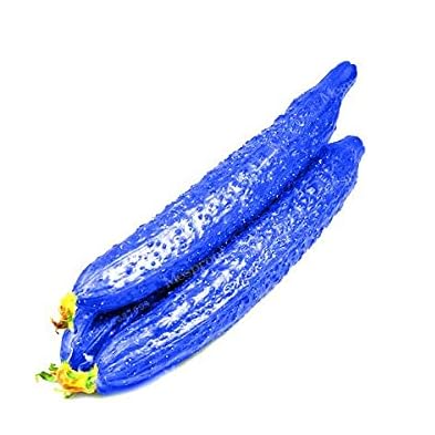 Blue Cucumber Seed Delicious Vegetable Seed Rare Cucumis Sativus