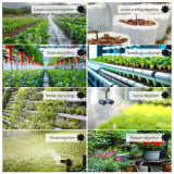 N339 Solar-Powered Garden Water Timer with 8 Customizable Schedules & Durable Solenoid Valve