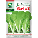 Creamy Baby Bok Choy Seeds: Crisp and Refreshing