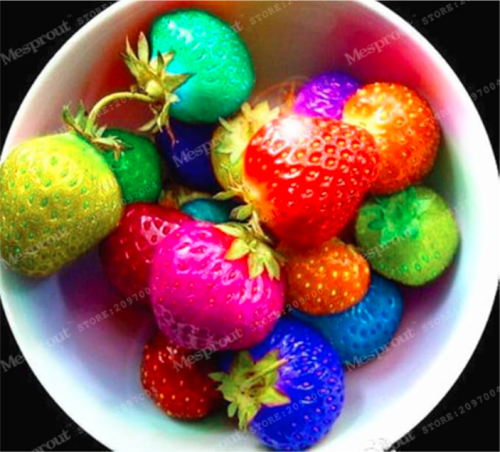 Multi-Color Strawberry Seed (Color: 2)