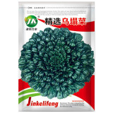 Wutacai, Black Cabbage Seeds