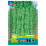 Ganzhimei Yardlong Bean Seeds