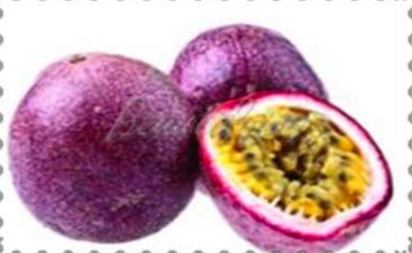 Passion Flower Plant Vine Colorful Flowers Fruit Passiflora Seed (Color: 10)