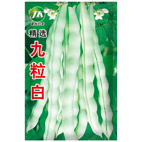 Continuously Harvestable Nine-grain White Kidney Bean Seeds