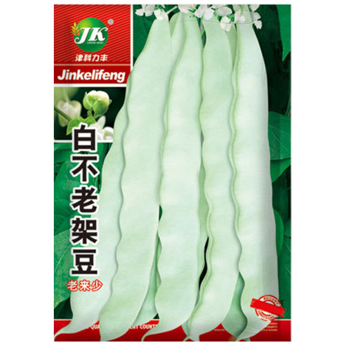 Baibulao White Kidney Bean Seeds