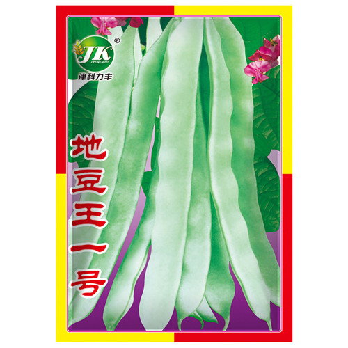 Didouwang No.1 Kidney Bean Seeds