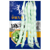 Huajun No.9 Kidney Bean Seeds