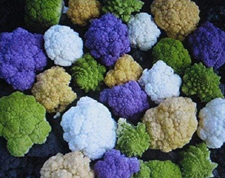 Rainbow Blend Cauliflower Broccoli Mixed Seeds