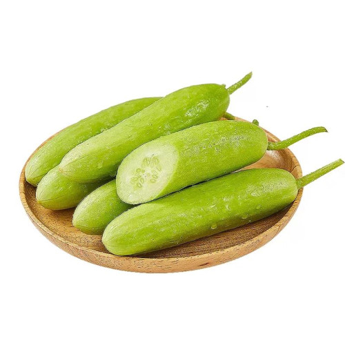 Spineless Creamy Cucumber Seeds