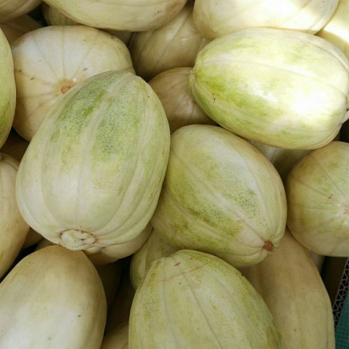 Tianfei Sweet Melon Seeds