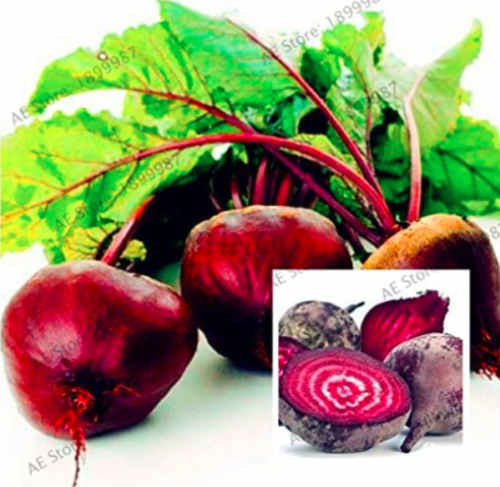 Beetroot Plants Green Vegetable Beta Vulgaris Seeds