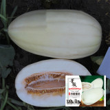 White Sweet Queen Melon Seeds