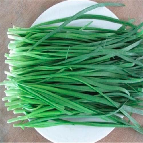 Large-leaved Chinese Chive Seeds Continuous Harvest Warming Liver and Kidney Courtyard Balcony Potted
