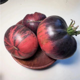 Marsha's Starfighter Beefsteak Tomato Seeds